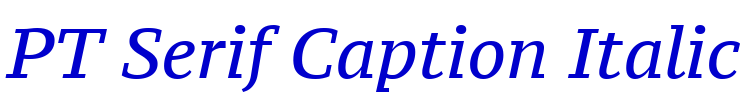 PT Serif Caption Italic font